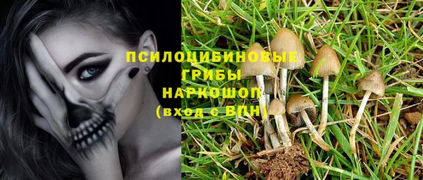 гидропоника Алзамай