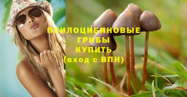 гидропоника Алзамай